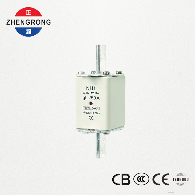 CE & IEC Certified Fuse Link NH1 500V 250A ຄວາມສາມາດແຕກສູງ
