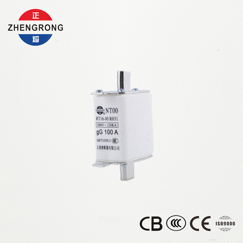 ຄວາມຈຸສູງ Breaking Capacity NT00 100A Fuse - 500V 120kA Ceramic gG Fuse Link