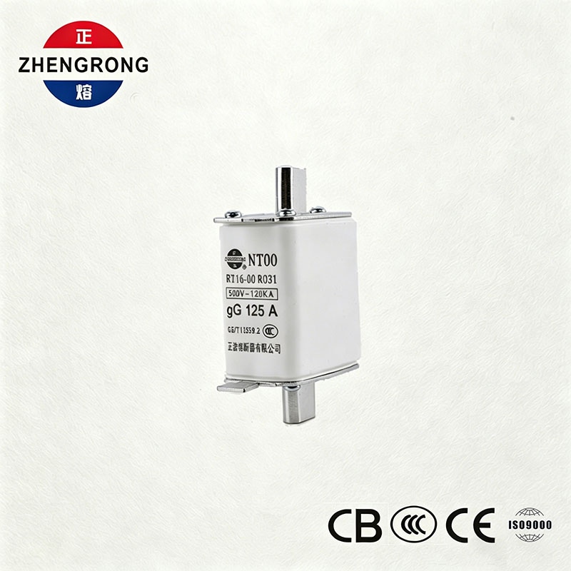 ຄວາມຈຸສູງ Breaking Capacity NT00 125A Fuse - 500V 120kA Ceramic gG Fuse Link