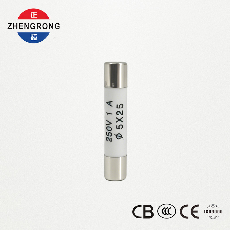 ຄຸນະພາບສູງ 5x25mm R055 1A Fuses ສໍາລັບຜູ້ຊື້ຂາຍສົ່ງ
